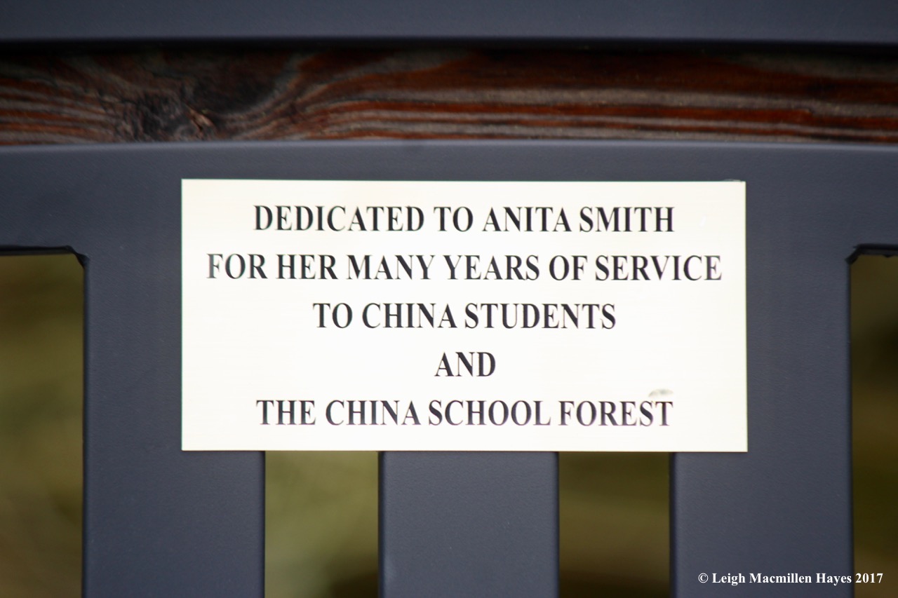 c-dedicated to Anita Smith