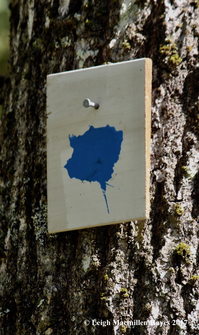 l-sloppy trail marker