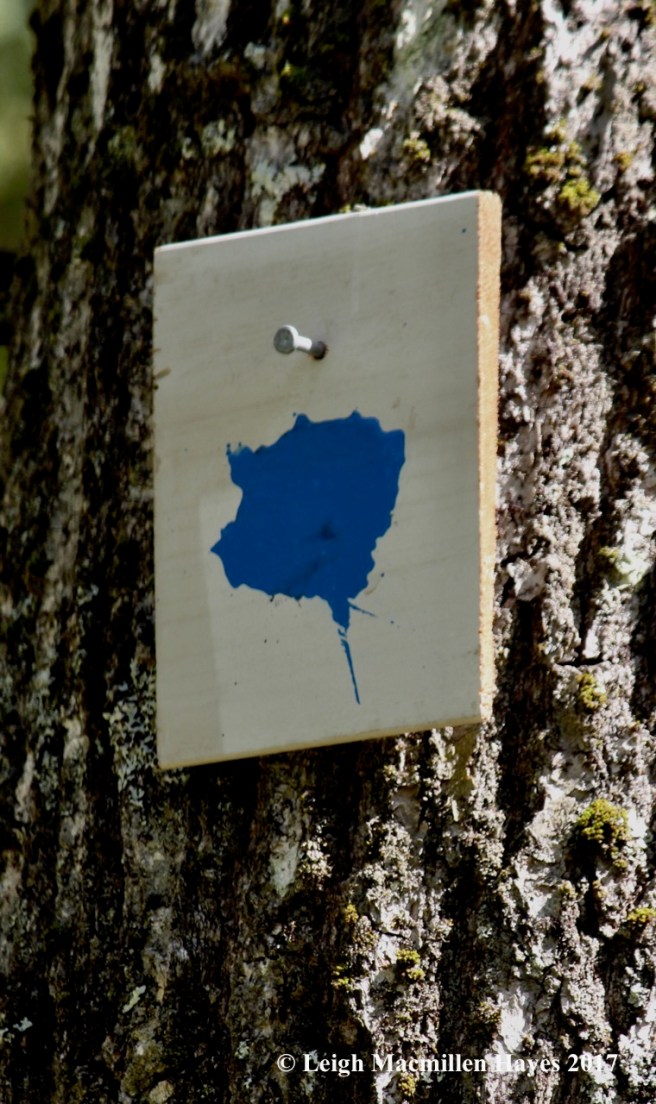 l-sloppy trail marker