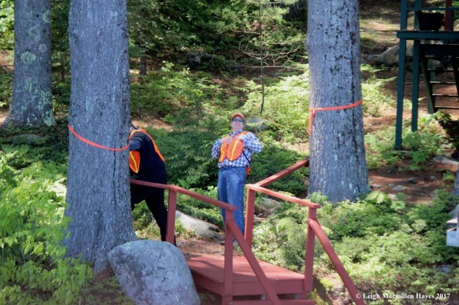 l-station 4, Anne, who me?