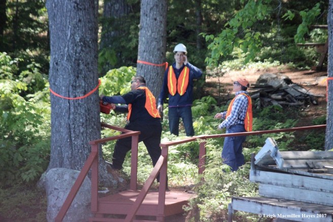 l-station 4, trees 1