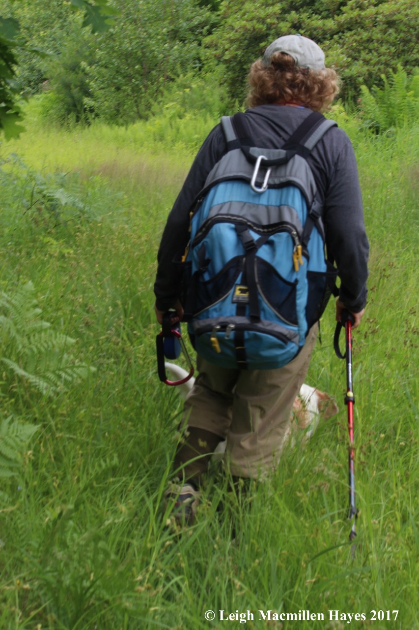 t-hiking down the old trail