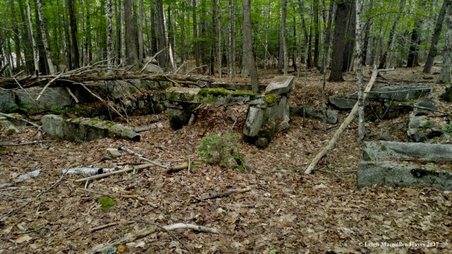 t-homestead foundation