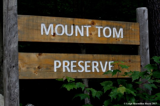 t-Mount Tom Preserve sign