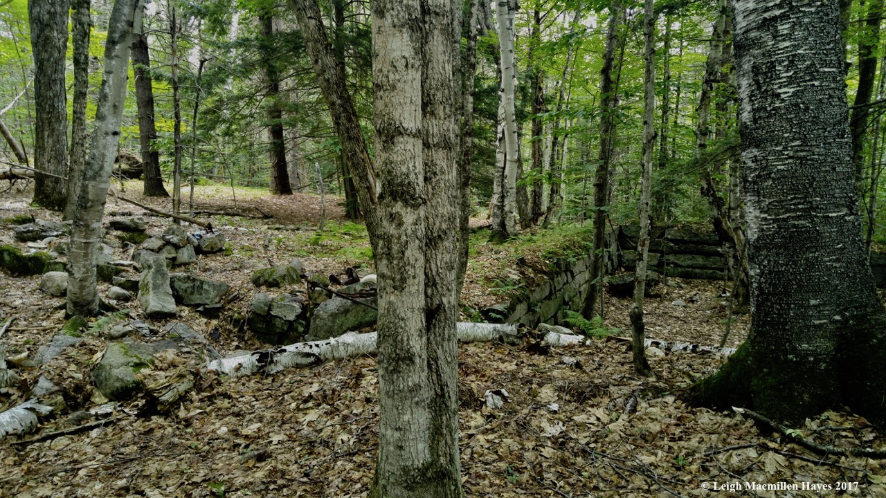 t-outbuildings and barn