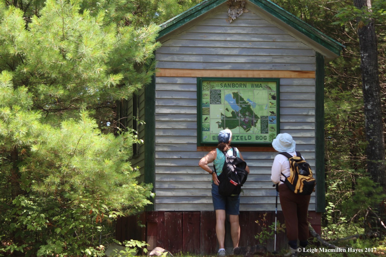 b-checking out the map