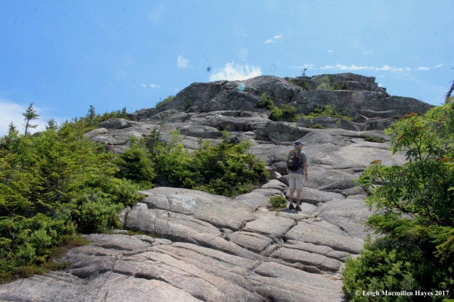 c-looking for yellow blazes