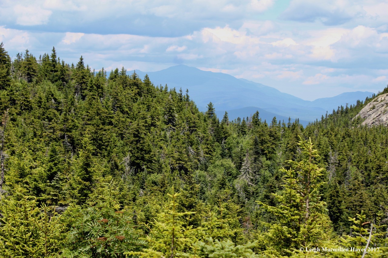 c-Mount Washington 1