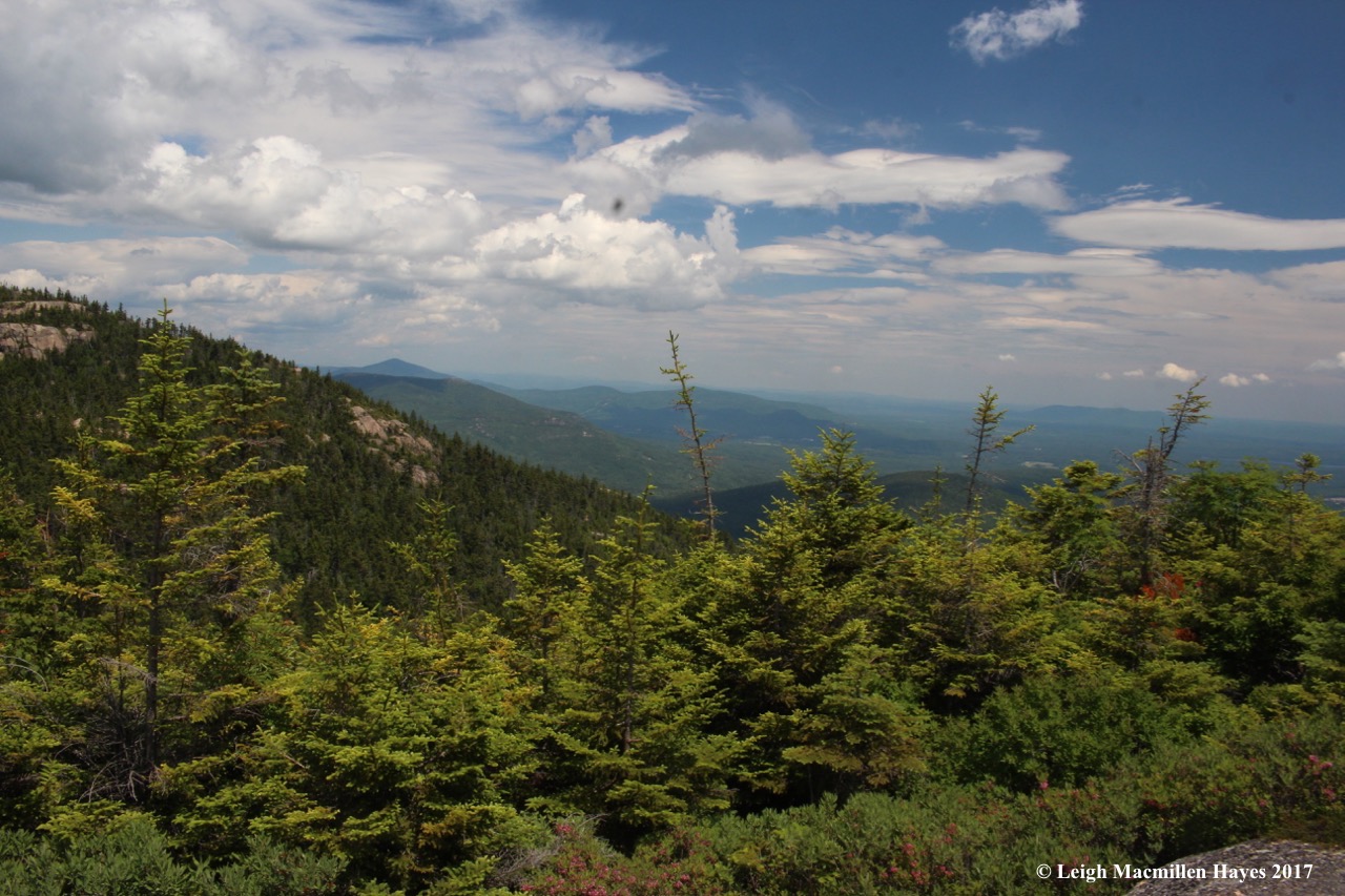 c-view from lunch rock