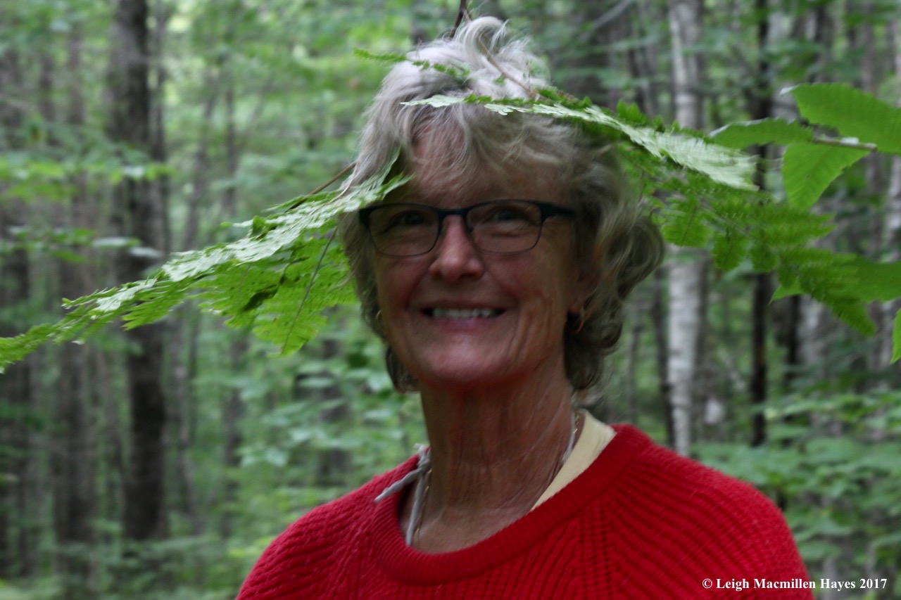 p-Pam's brackenfern hat 1