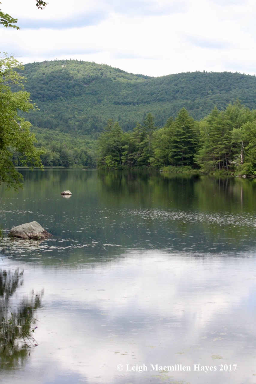 w-Horseshoe Pond