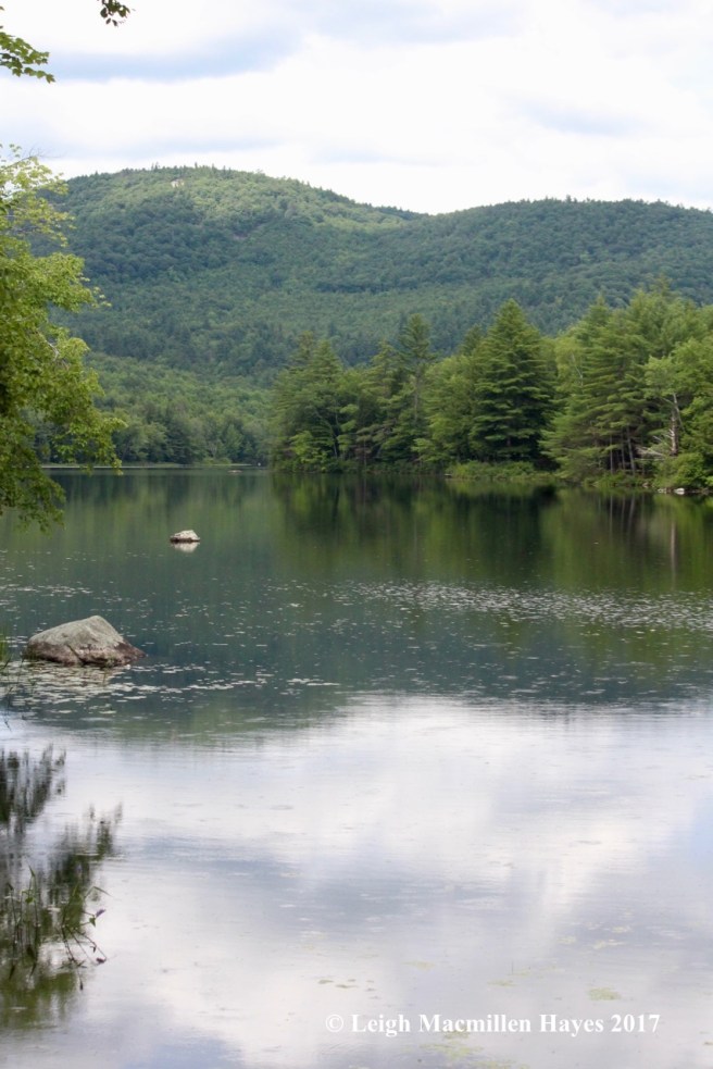 w-Horseshoe Pond