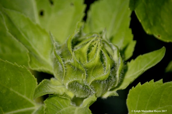 y2-completely wrapped up