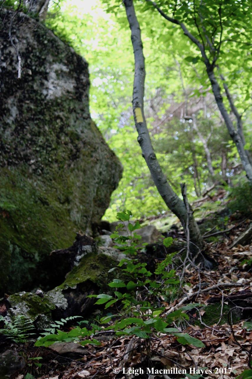 b-light at the end of the tunnel