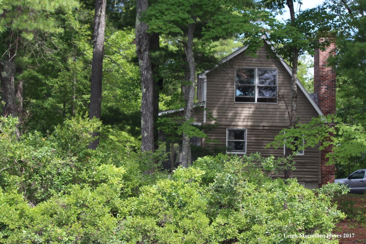 c-camp from south side