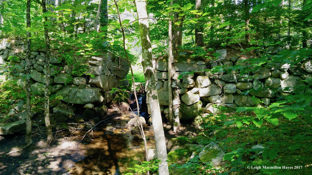 h1-mill site looking back