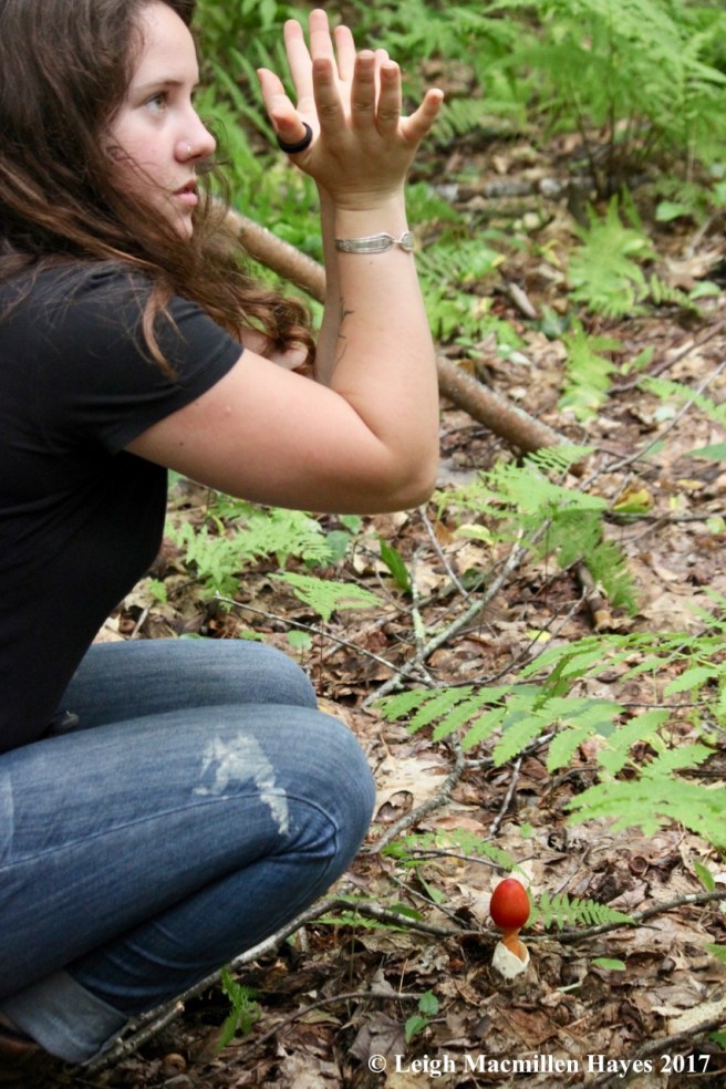 i-caesar explanation