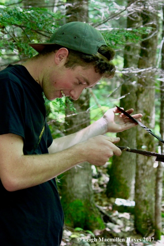 i-Dakota, number on scythe