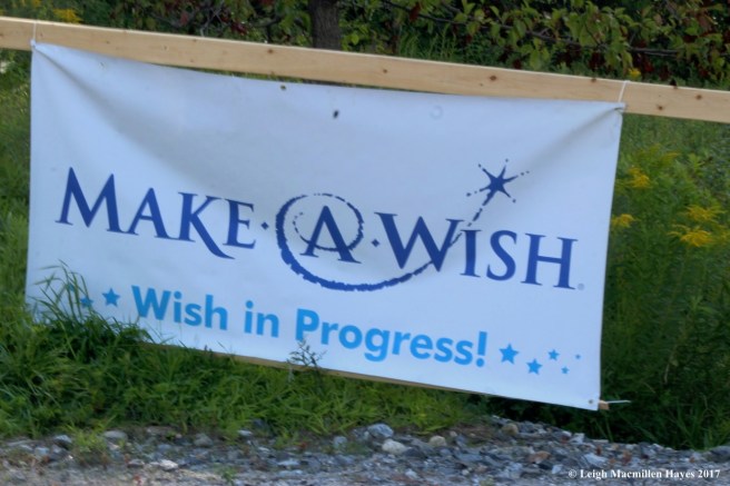 k-make a wish in progress