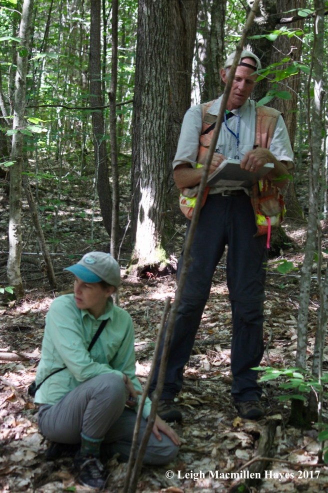 l2-surveying the site