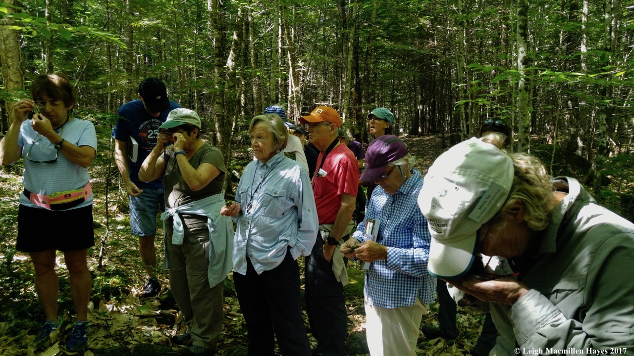 m-do you see what I see?