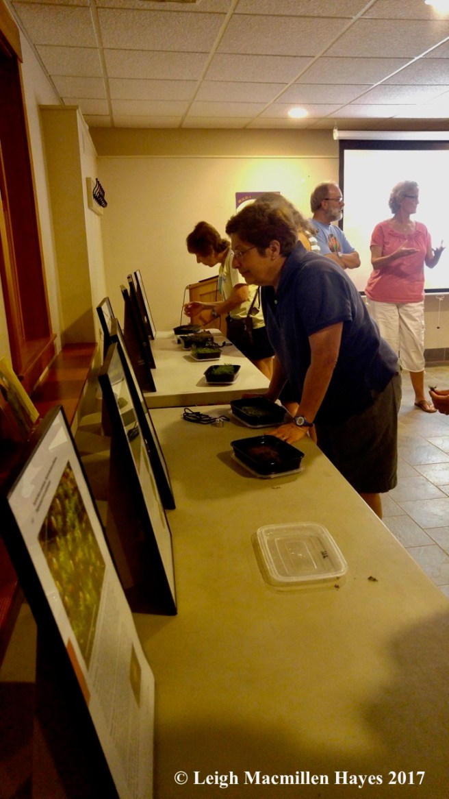 m-looking at samples