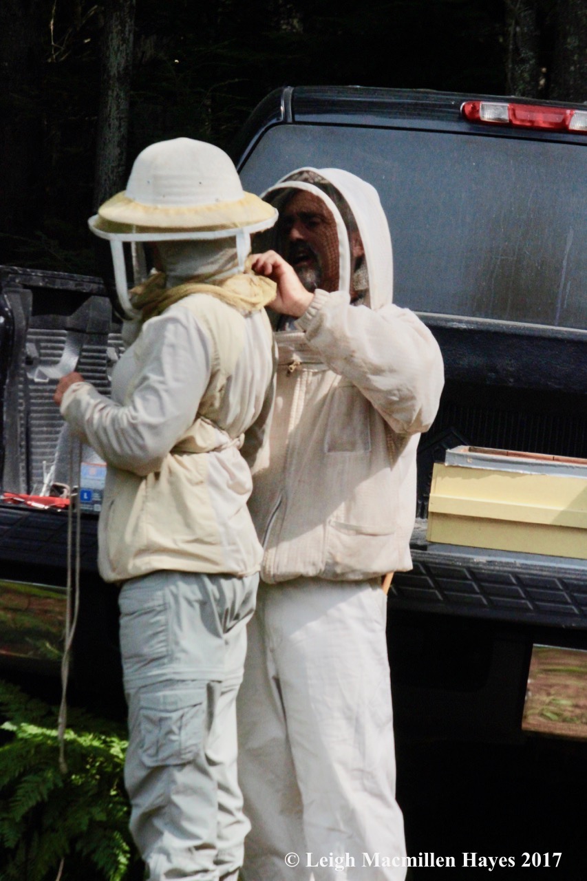 w-dressing like a beekeeper