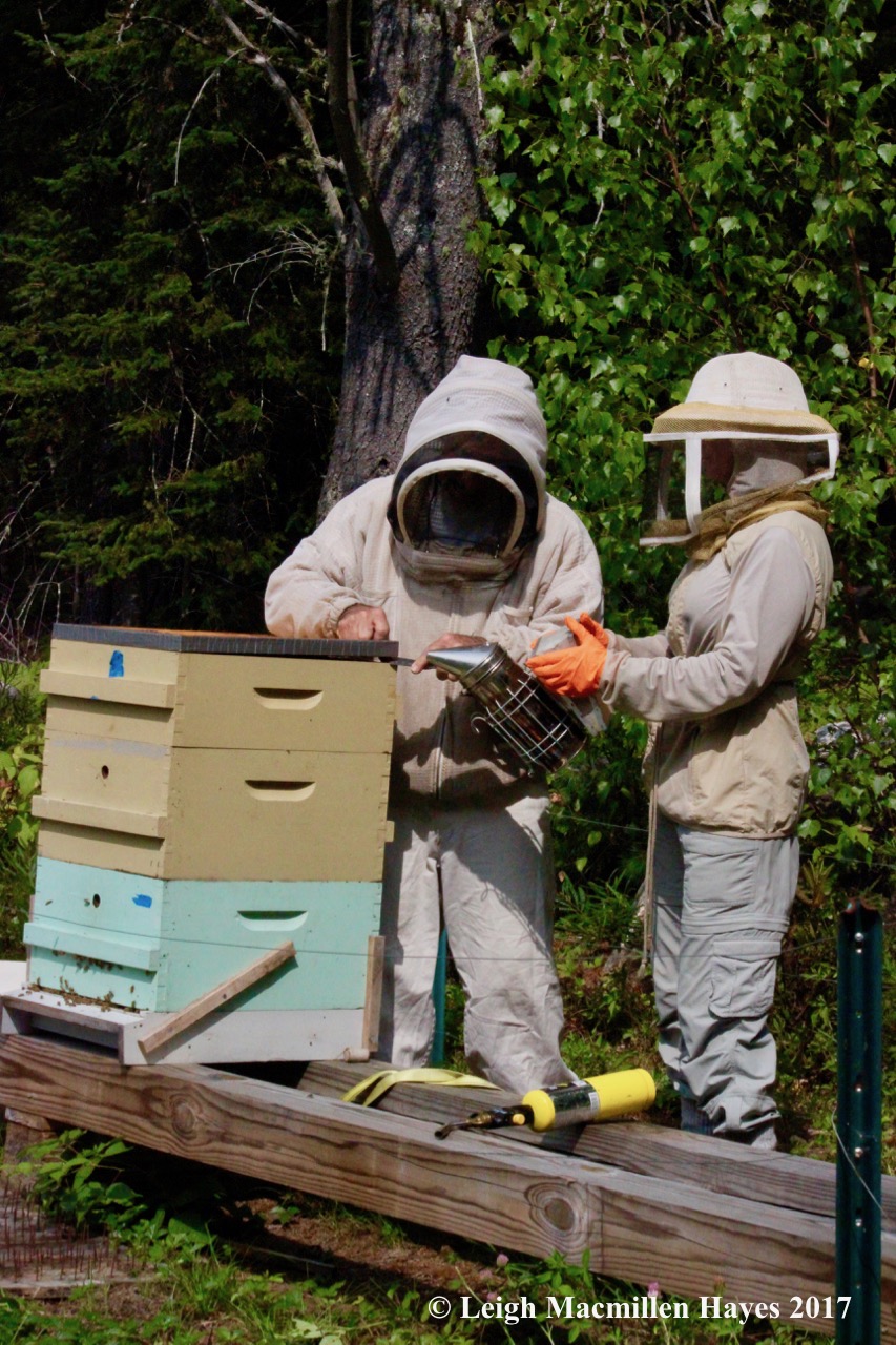 w-Mary uses the smoker