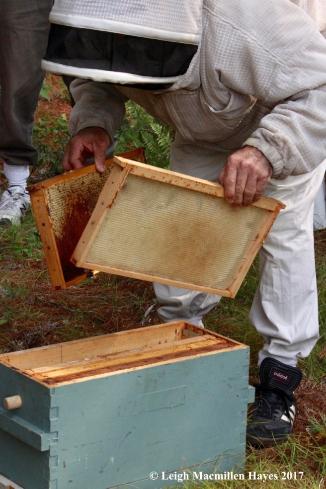 w-showing the frames