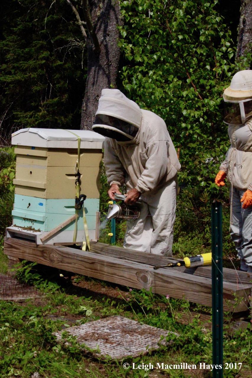 w-smoke coming out of smoker1