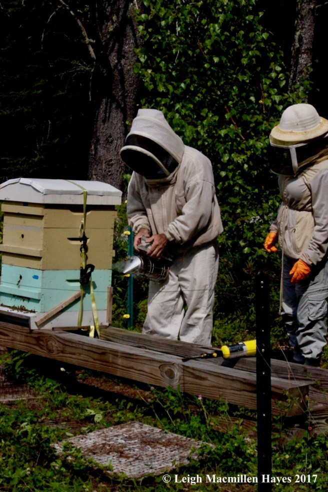 w-testing the smoker