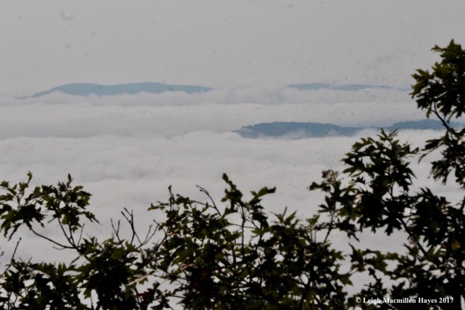 l16-mountain islands 1