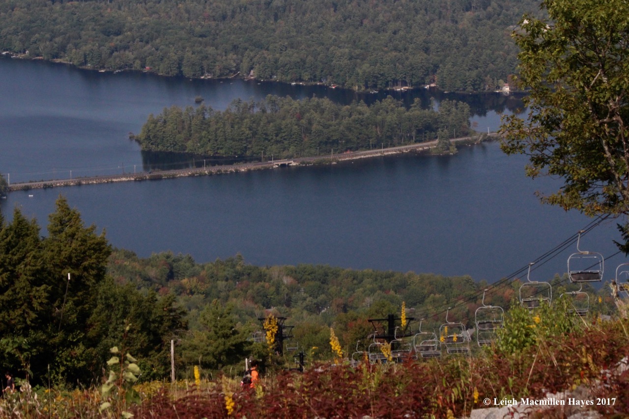 l26-slowly descending