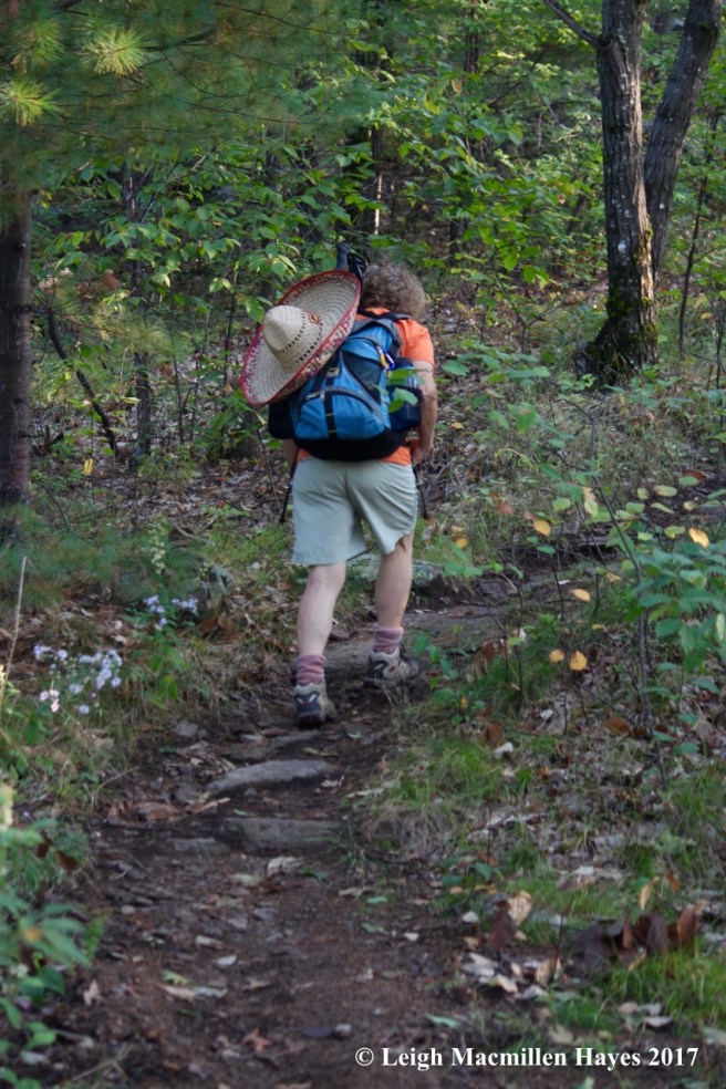 l7-breaking into the sunlight
