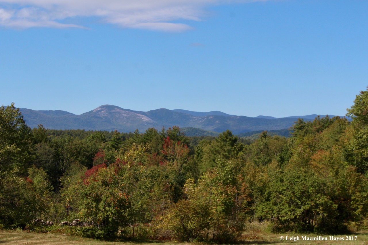 m36-fall on the horizon