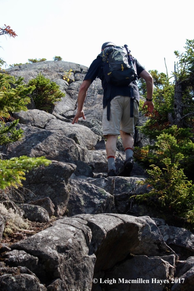 p35-almost the summit