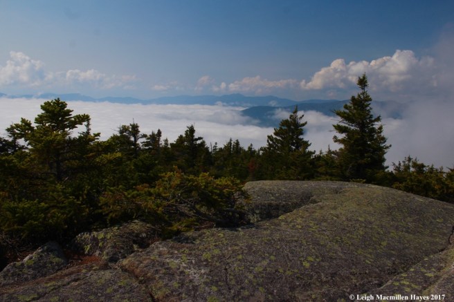 p40-view from lunch rock 2