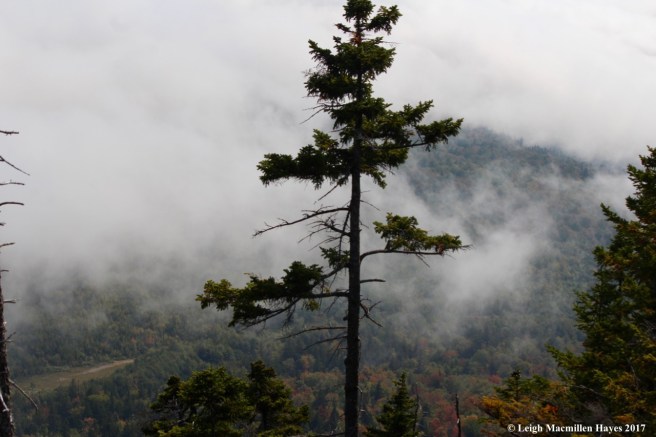 p44-view from SW ledge where lost
