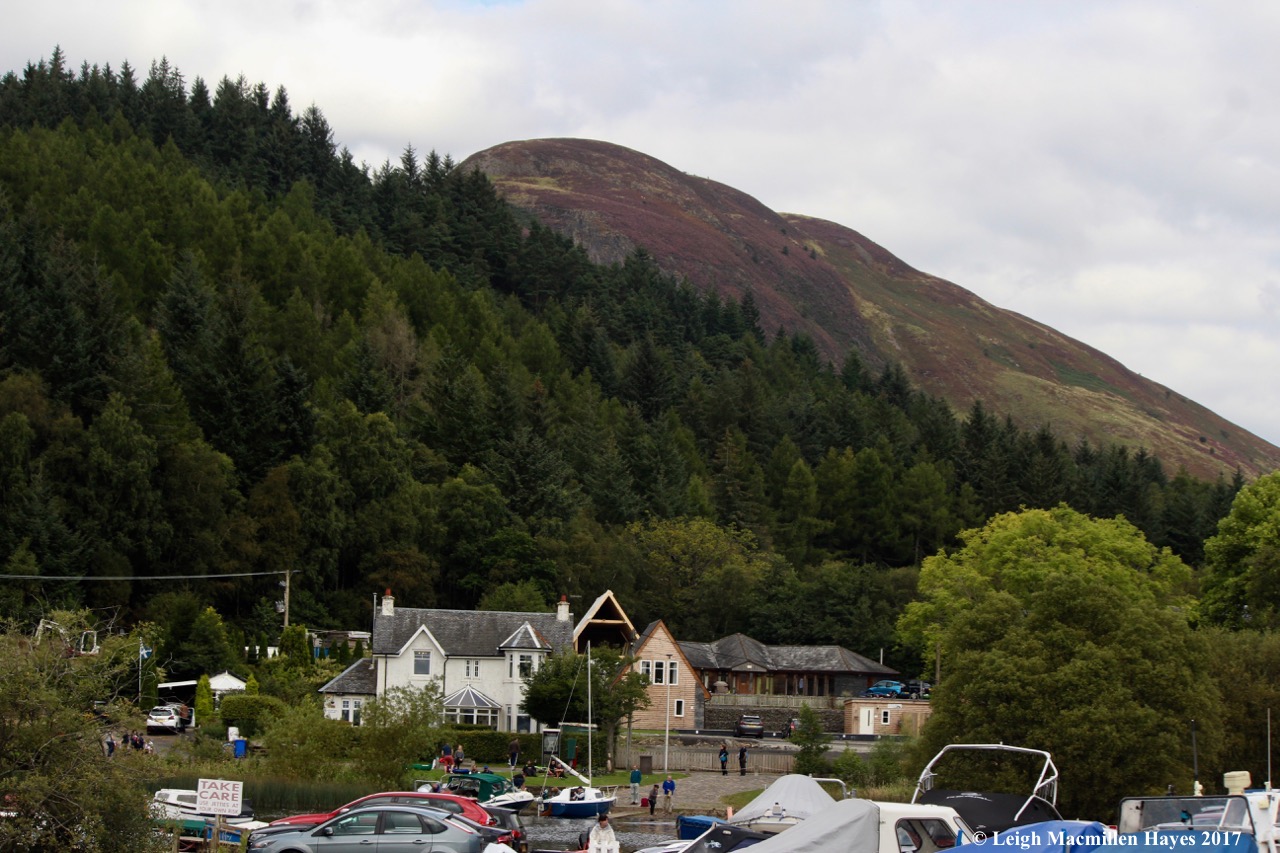 s-C Hill from harbor