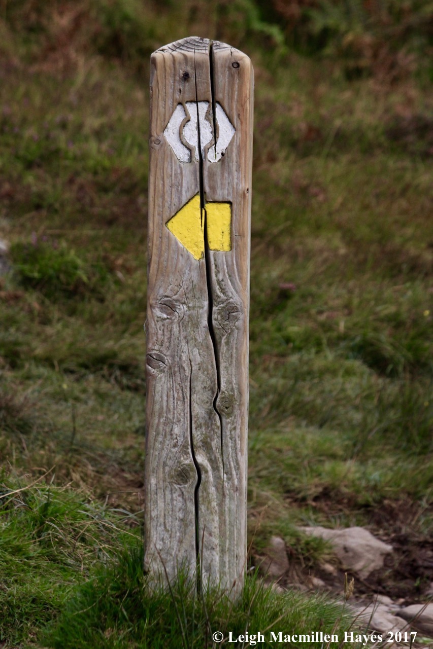 s-C Hill trail marker