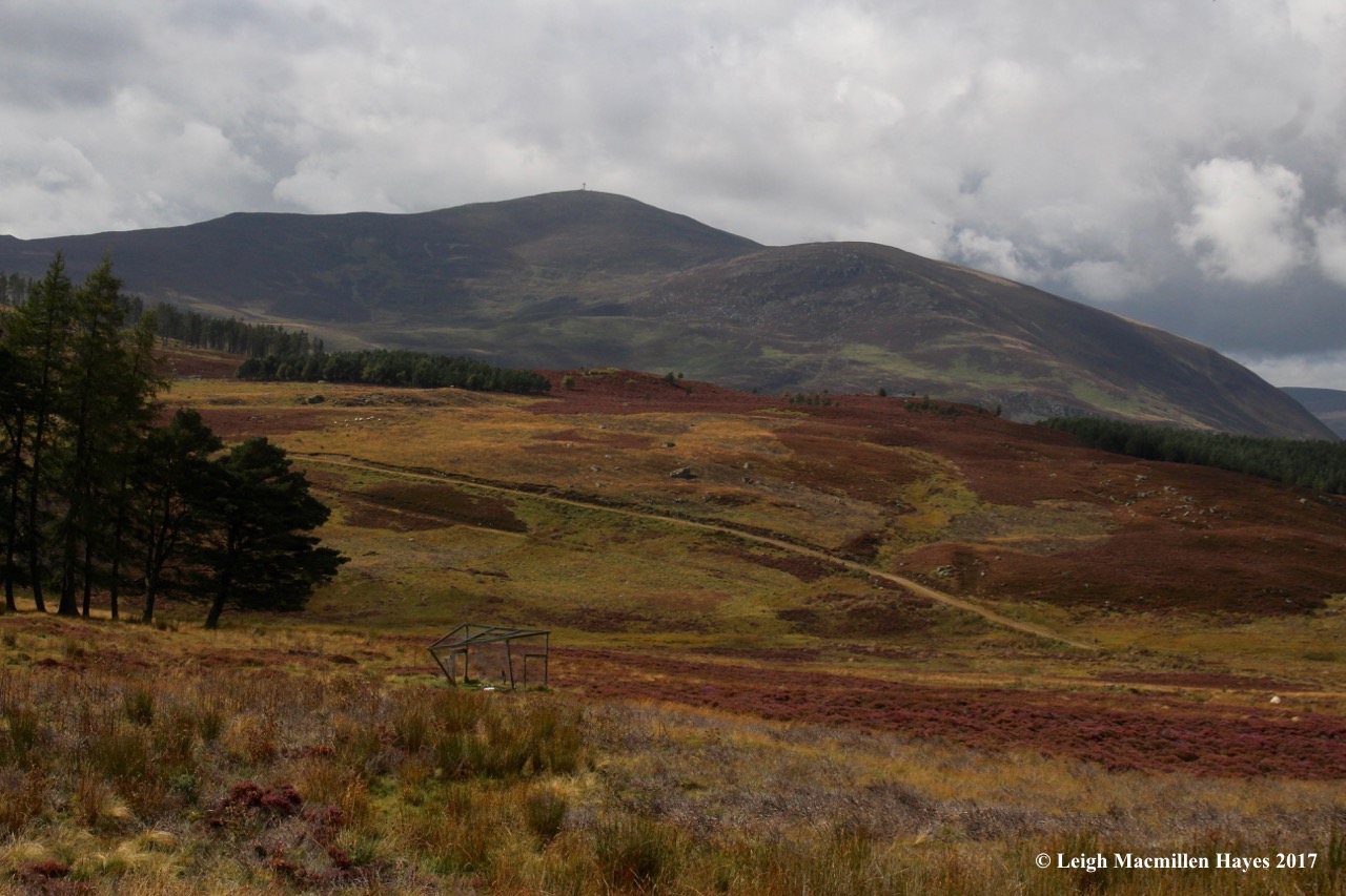 s-crow catcher, Sept 5