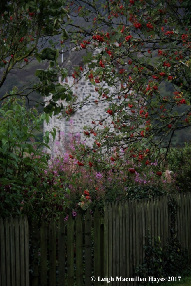 s-Forter through foliage, Sept 5