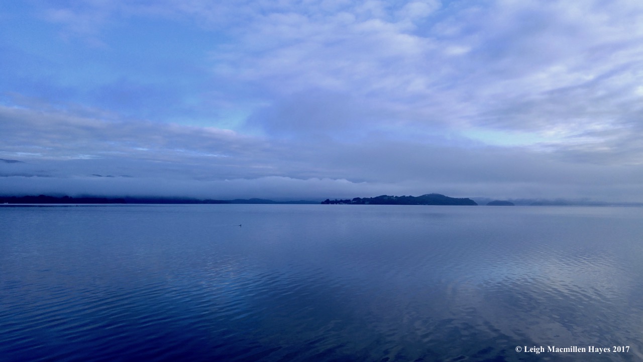 s-ll in morning light (1)