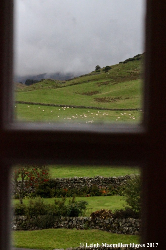 s-view from the toilet