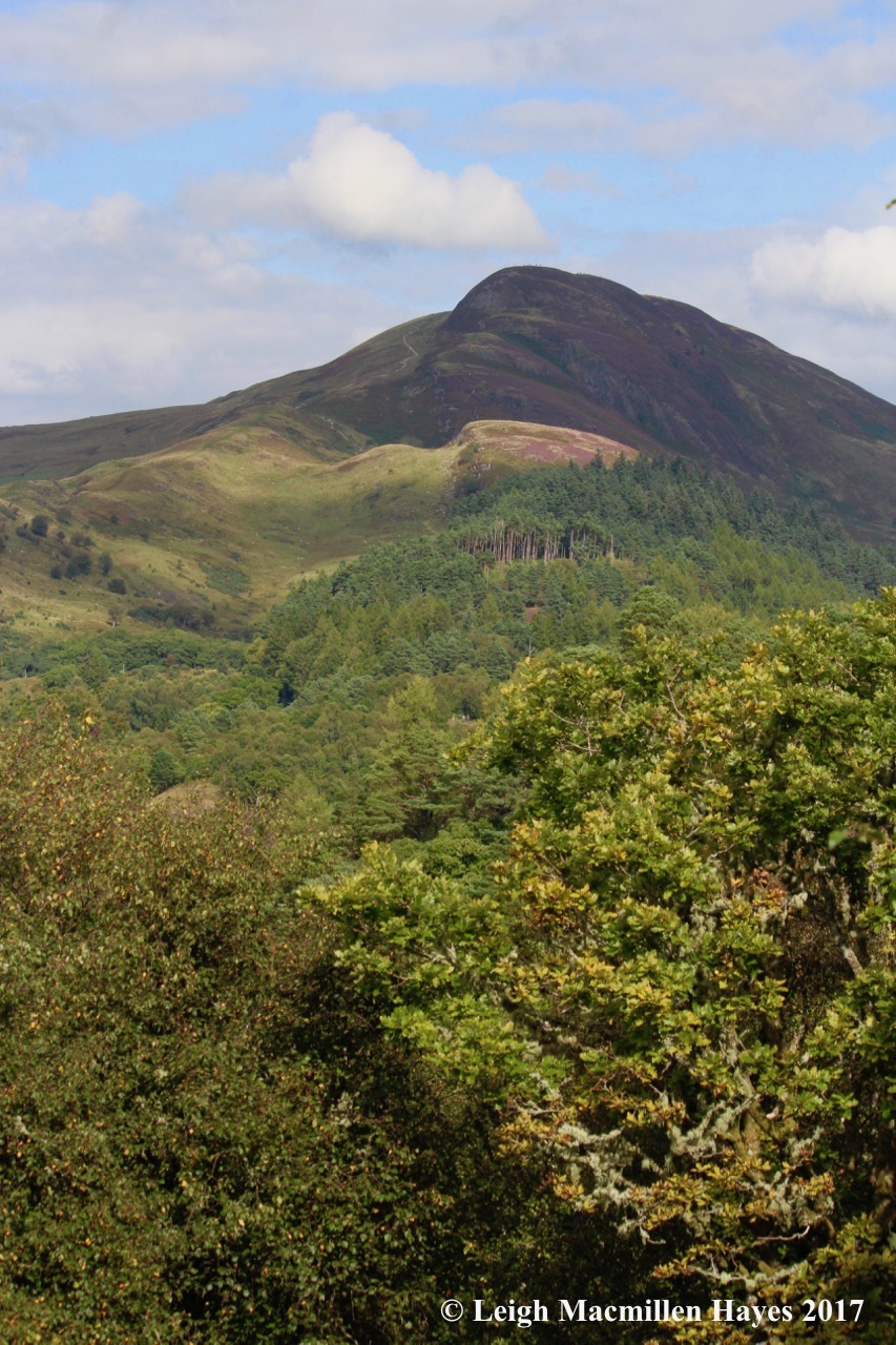 s-view of C Hill from island