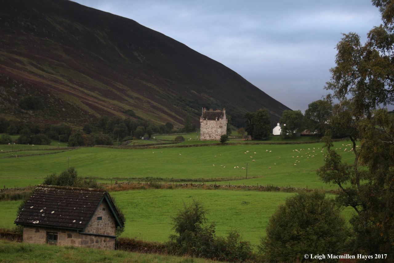 s1-castle from Folda