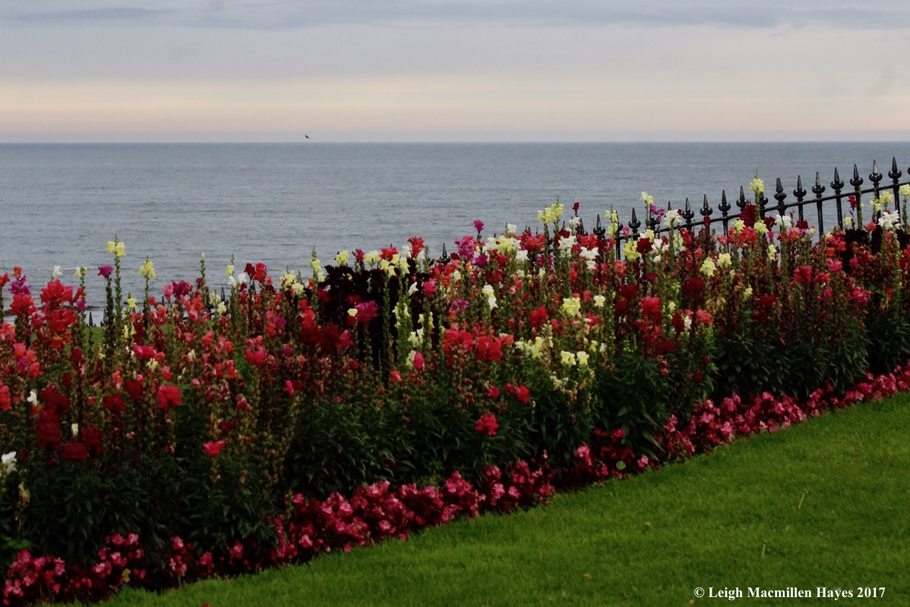 s1-flowers at St. Andrews