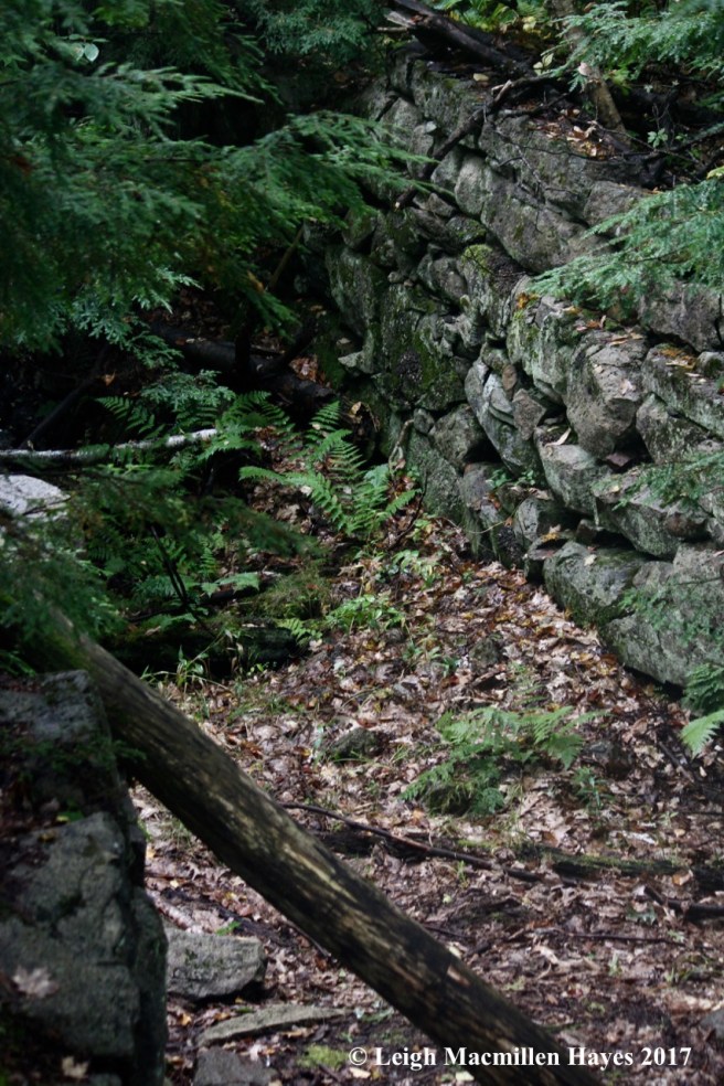 s12-8th site, sluiceway1