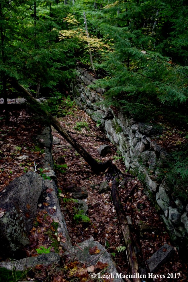 s15-8th site, sluice way from above 2
