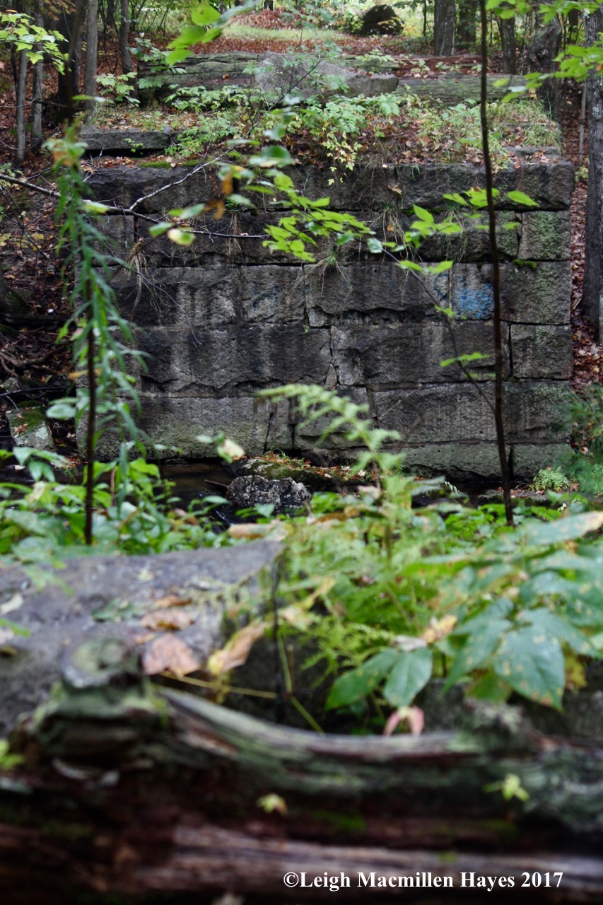 s2-5th site-Narrow Gauge trestle bridge